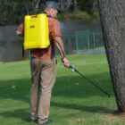 Inter Elite Knapsack Sprayer