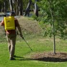 Inter Elite Knapsack Sprayer