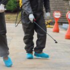 Inter Elite Knapsack Sprayer