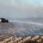 1000L FirePatrol14 Fire Fighting Trailer - Unbraked
